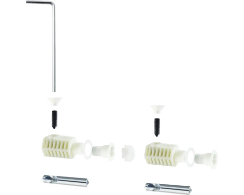 Einzelne Dübel mit Schraube, Inbusschlüssel und Bohrer