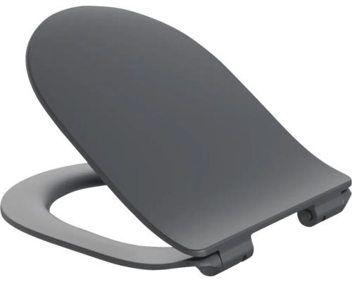 Grauer Toilettensitz aus Kunststoff