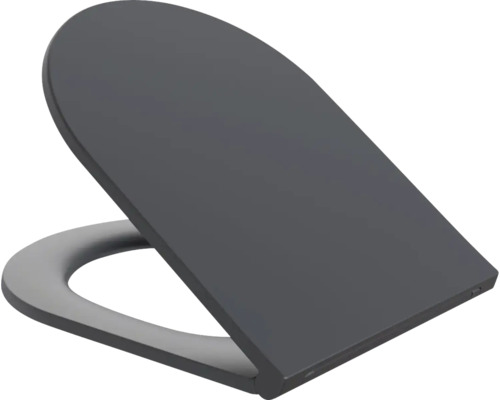 Toilettendeckel aus Kunststoff