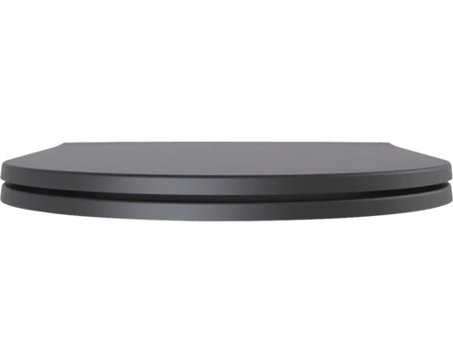 Toilettensitz aus Duroplast