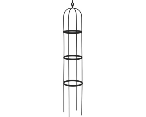 Pflanzkletterhilfe aus Metall für den Garten