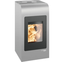 Haas und Sohn Kaminofen mit Feuerraum