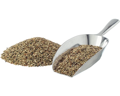 Vogelfutter mit Schaufel