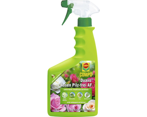 Rosen-Pilzfrei COMPO Duaxo 750 ml Anwendungsfertiges Pumpspray COMPO Duaxo Rosen Pilzfrei AF Pflanzenschutzmittel in einer 750-Milliliter-Sprühflasche