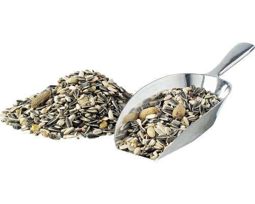 Vogelfutter mit Schaufel