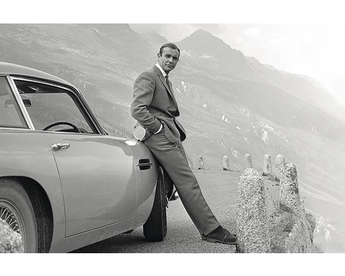 Decopanel James Bond 007 60x90 cm