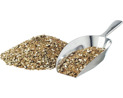 Vogelfutter mit Schaufel