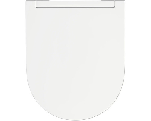 Toilettendeckel aus Kunststoff