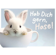 Ein weißes Kaninchen sitzt in einer Tasse mit der Aufschrift Hab Dich gern, Hase!