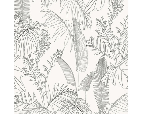 Illustration von Blättern verschiedener tropischer Pflanzen