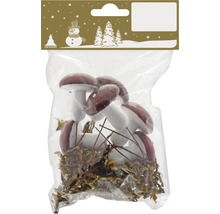 Dekorative Pilze in Verpackung für Weihnachtsdekoration