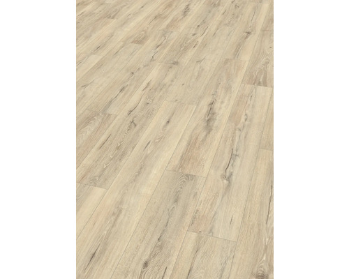 Laminat Nature Sense Melba Eiche beige Landhausdiele 1292 x 193 x 8 mm Laminat Nature Sense Melba Eiche beige Landhausdiele 1292 x 193 x 8 mm