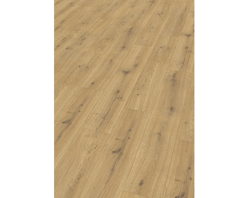 Laminat Nature Sense Predaia Eiche honig Landhausdiele 1292 x 193 x 10 mm Verlegtes Laminat mit Holzoptik