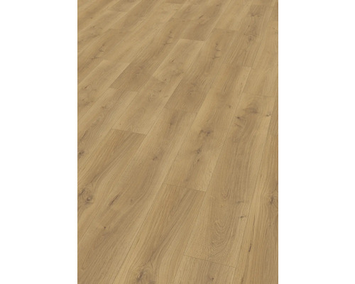 Laminat Nature Sense Pinot Eiche honig Landhausdiele 1292 x 193 x 10 mm Laminat Nature Sense Pinot Eiche honig Landhausdiele 1292 x 193 x 10 mm