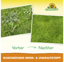 Rasen mit Unkraut vor und nach der Behandlung mit Rasendünger Moos- und Unkrautstopp.