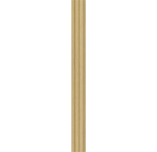 Holzprofilleiste