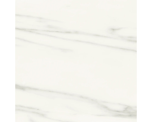 Feinsteinzeug Wand- und Bodenfliese Macael 60 x 60 x 0,9 cm white poliert grau