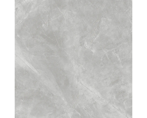 Graue Fliese mit Marmoroptik