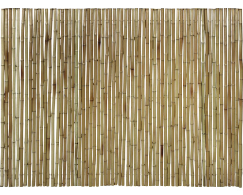 Sichtschutz floraworld Bambus Gala 300 x 150 cm natur