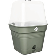 Pflanztopf Anzuchttopf Elho Green Basics Kunststoff 30 x 29,6 x 24,9 cm grün