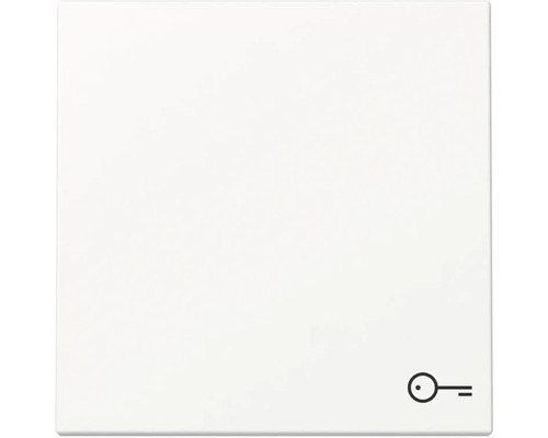 NEUE Generation Gira 328727 Wippe mit Symbol Schlüssel Standard reinweiß/matt