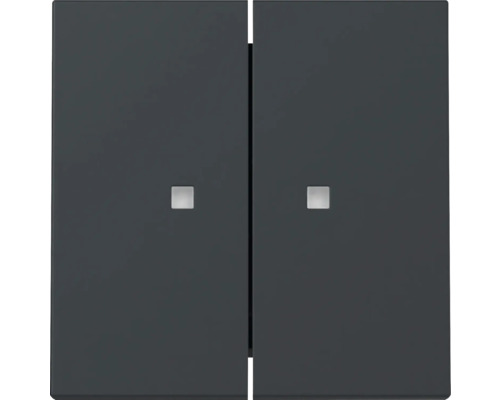 NEUE Generation Gira 363128 Wippe Kontroll 2-fach mit Kontrollfenster E2 anthrazit
