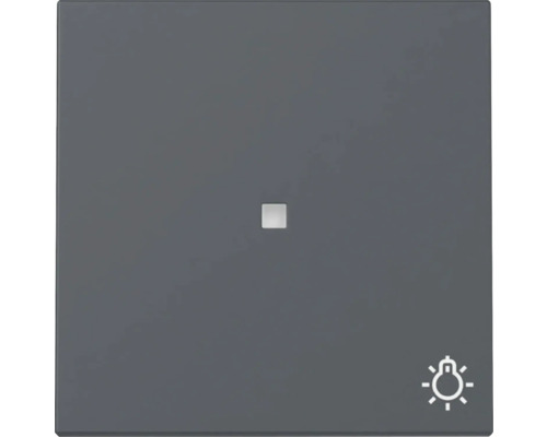 NEUE Generation Gira 367428 Wippe mit Kontrollfenster + Symbol Licht E2 anthrazit Lichtschaltereinsatz