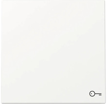 Schalterwippe mit Schlüsselsymbol