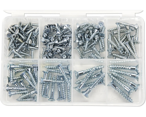 Sortimentskasten mit verschiedenen Schrauben