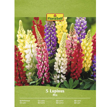 Verpackung mit Lupinenmischungssamen der Marke FloraSelf