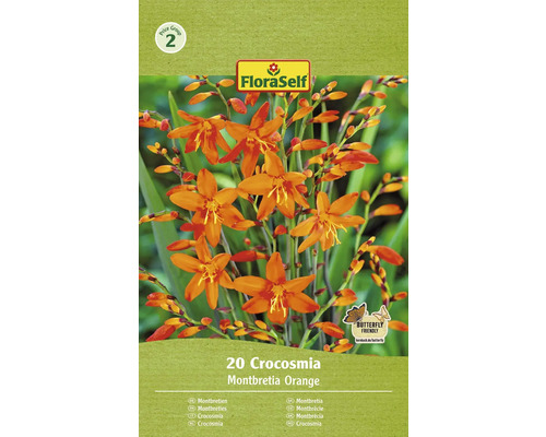 Blumenzwiebel Crocosmia/Montbretie FloraSelf 'Orange' 20 Stück