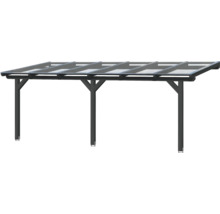 Terrassenüberdachung SKAN HOLZ Andria 648 x 300 cm anthrazit
