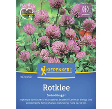 Gründünger Kiepenkerl Rotklee/Wiesenklee für 100 m²