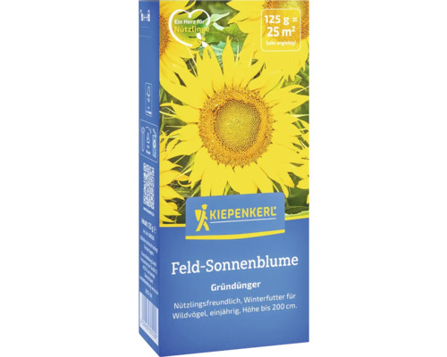 Gründünger Kiepenkerl Feld-Sonnenblume für 100 m² Samenfestes Saatgut Kiepenkerl Feld Sonnenblume Gründünger Packung