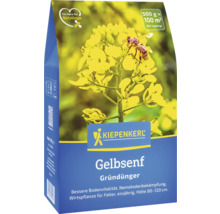 Gelbsenf Gründünger von Kiepenkerl im Saatgutbeutel mit Blüte und Biene