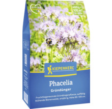 Packung Phacelia Gründünger mit Blüten und einer Hummel