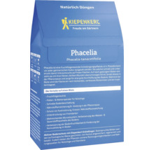 Packung Phacelia Bienenfreund von Kiepenkerl