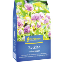 Kiepenkerl Rotklee Gründünger Packung mit Klee und einer Hummel