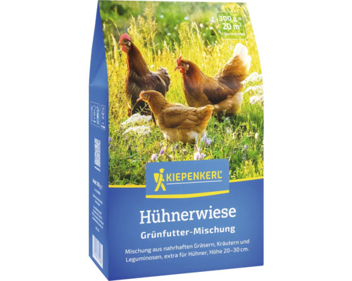 Futterwiese Kiepenkerl Hühnerwiese 0,3 kg für 20 m² Samenfestes Saatgut Kiepenkerl Hühnerwiese Grünfutter Mischung Packung mit Hühnerabbildung