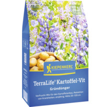 Kiepenkerl TerraLife Kartoffel-Vit Gründünger Packung