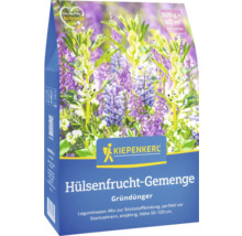 Kiepenkerl Hülsenfrucht-Gemenge Gründünger Packung