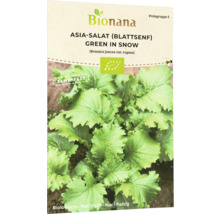 Bio Asia-Blattgemüse Green in Snow Salatsamen