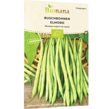 Bio Buschbohnen Elmoro, grün Gemüsesamen