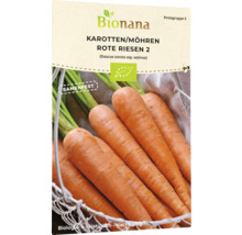 Bio Karotte Rote Riesen 2 (Flakkese 2) Gemüsesamen