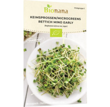 Bionana Keimsprossen Rettich Mino Early Packung