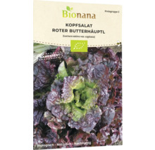 Bionana roter Butterhäuptl Kopfsalat Samenpackung