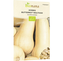Bio Kürbis Butternut Waltham Gemüsesamen