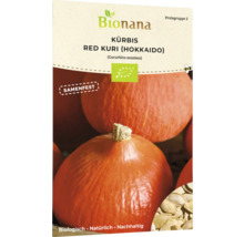 Bio Kürbis Red Kuri (Hokkaido) Gemüsesamen