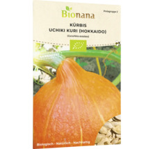 Bio Kürbis Uchiki Kuri (Hokkaido) Gemüsesamen