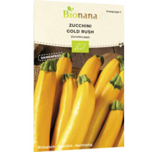 Bio Zucchini Gold Rush Gemüsesamen